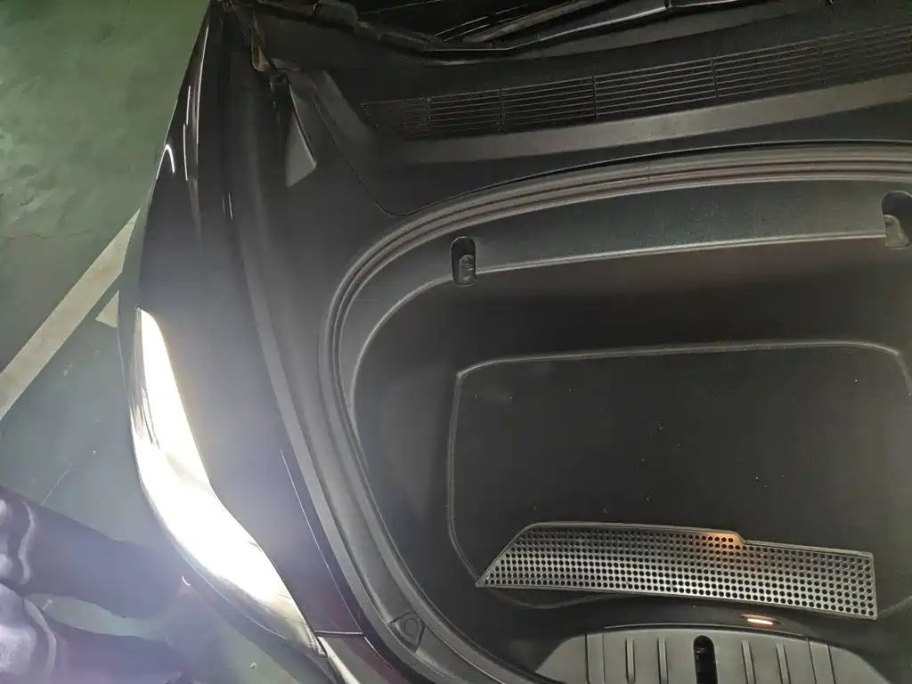 Tesla Model 3 2020 2020 Standard Range Rear-Wheel Drive Upgrade