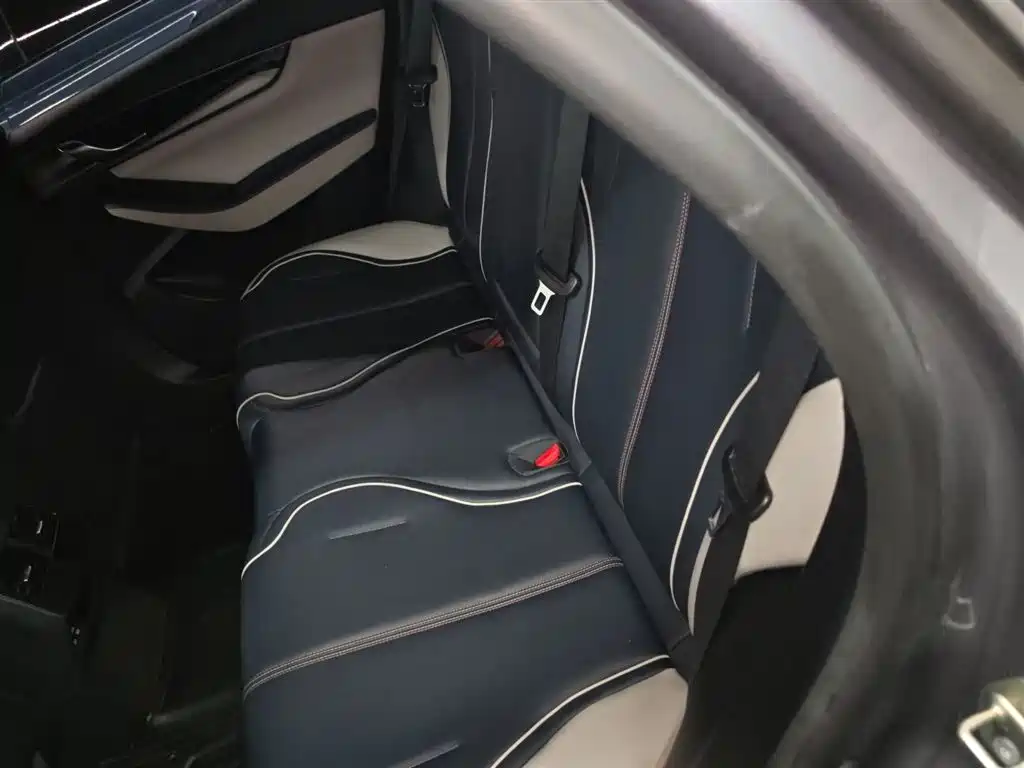 BYD Qin PLUS 2021 DM-i 55KM Flagship фото 13