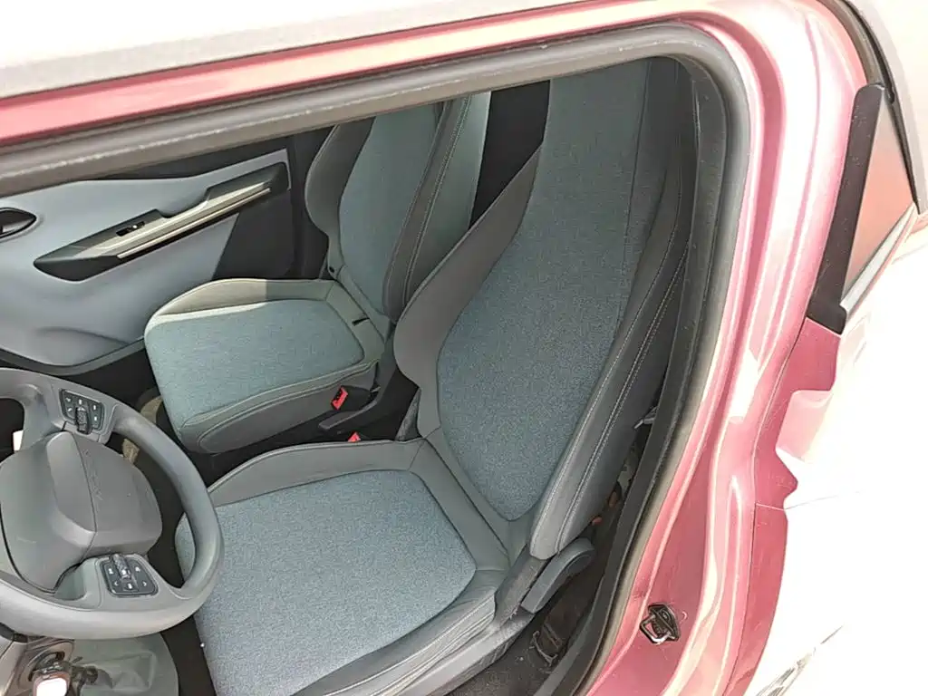 صورة 17 - Baojun E200