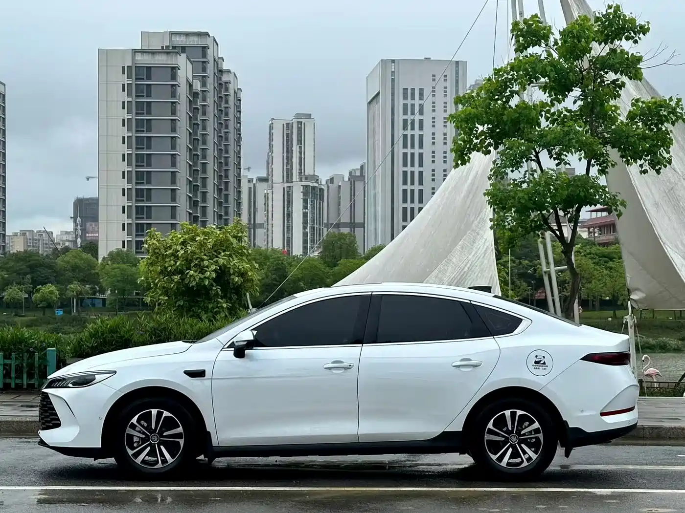 BYD Qin PLUS 2025 DM-i Smart Drive Edition 55KM Surpassing Type фото 3