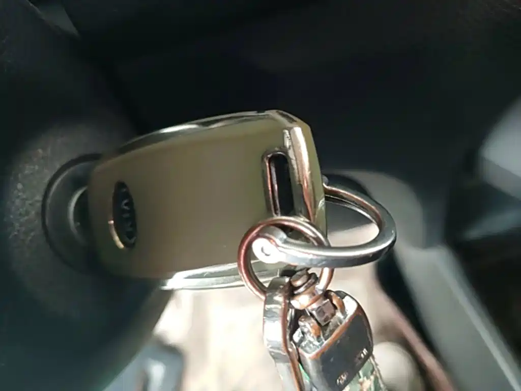 Kia Pegas 2019 2017 1.4L Manual Value Intelligent