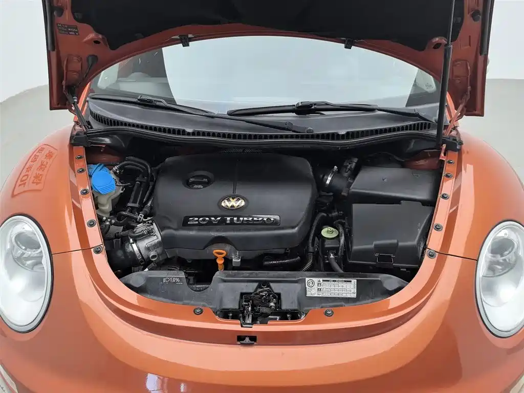 Volkswagen Beetle 2010 1.8T BlackOrange Luxury Edition фото 6
