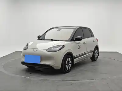 Wuling Bingo