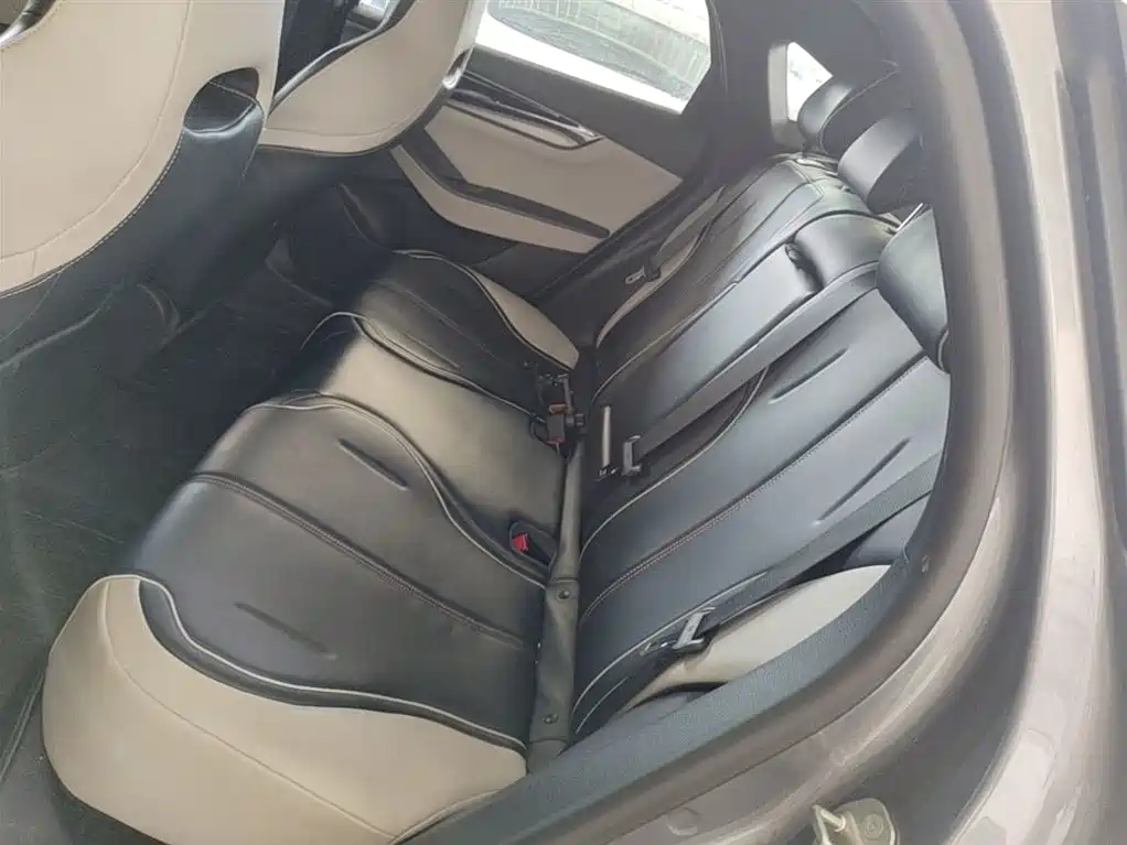 BYD Qin PLUS 2021 EV 400KM Luxury Model фото 17