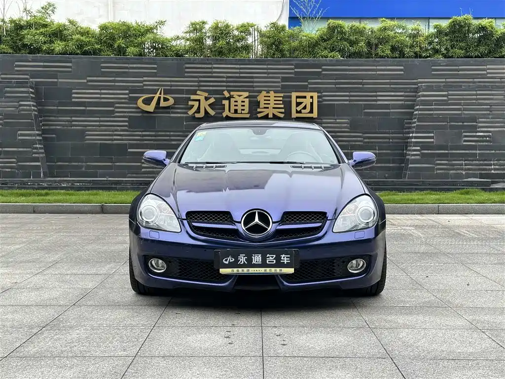Mercedes-Benz SLK-Class 2010 Model SLK 300 Grand Edition фото 2