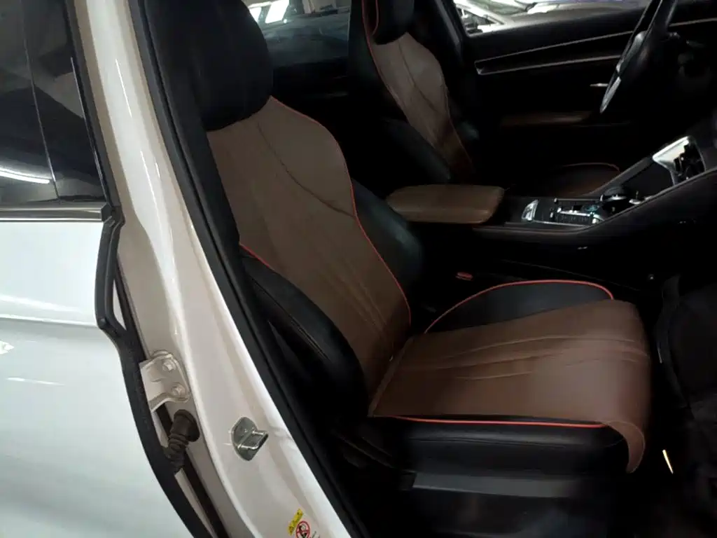 BYD Song PLUS 2021 2020 1.5T Automatic Luxury