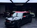 Фото 1 - MINI Paceman