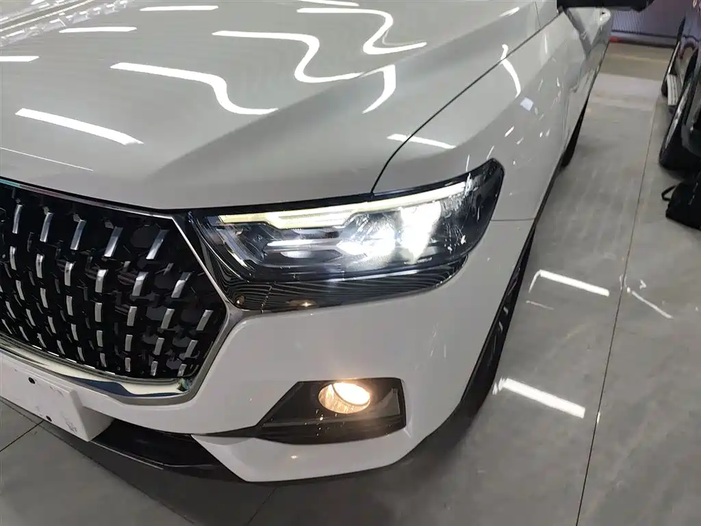 Haval H6 2023 National Trend Edition 1.5T Automatic Urban фото 18