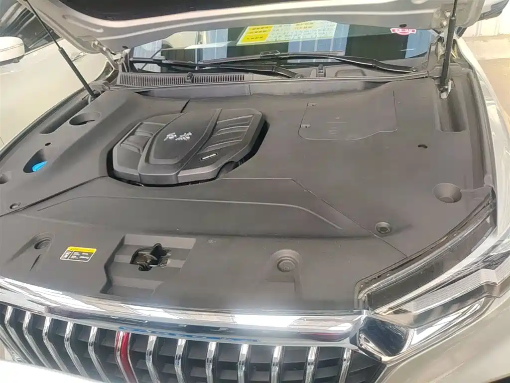 Hongqi HS5 2019 2.0T Smart Connect Enjoy Edition фото 20