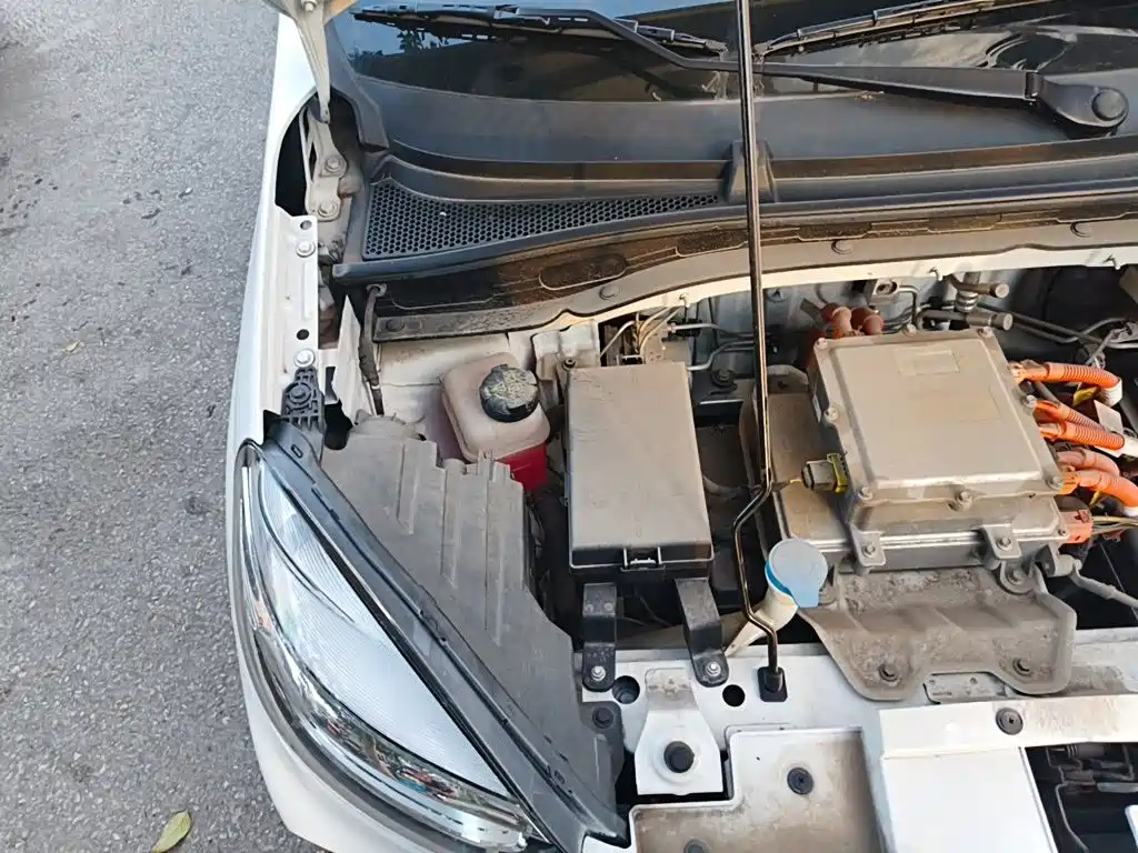 Roewe Clever 2023 2022 311km Vitality Bobo Edition
