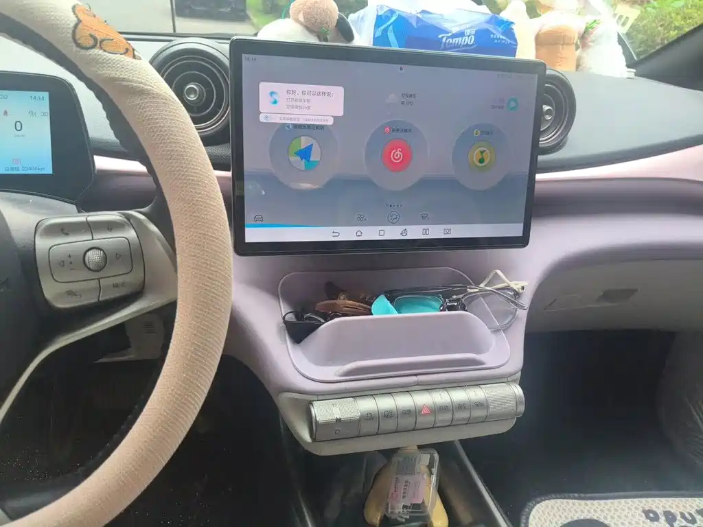 Photo 9 - BYD Dolphin