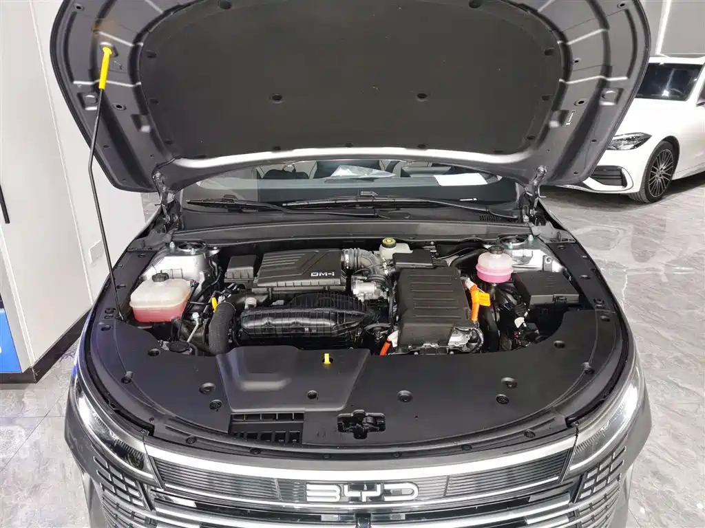 BYD Destroyer 05 2023 Champion Edition DM-i 55KM Luxury фото 20