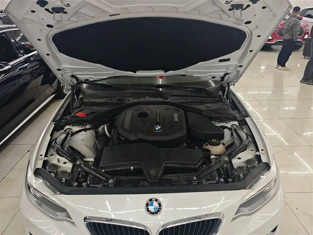 BMW 2 Series (Import) 2015 218i Convertible Coupe фото 20