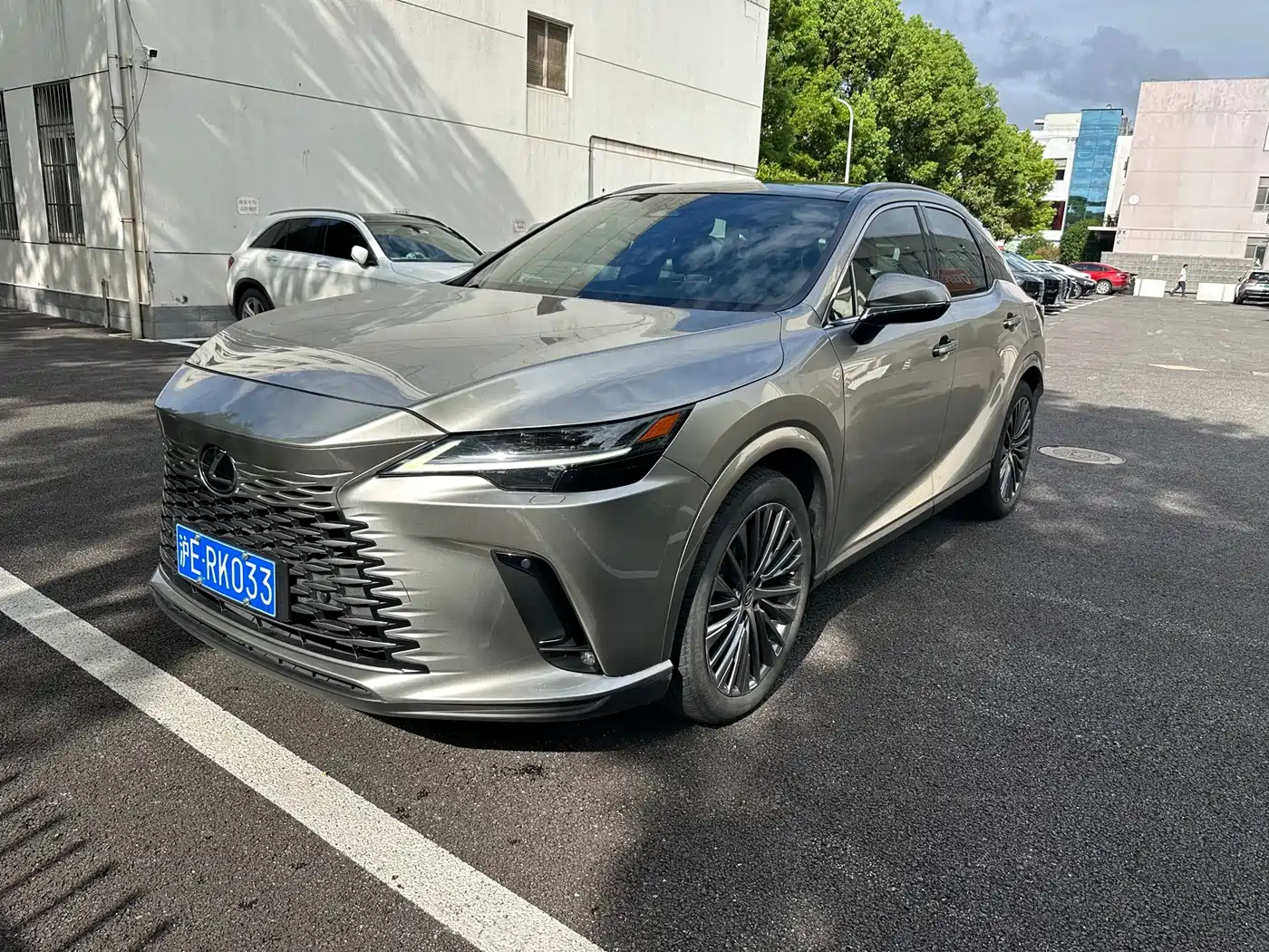 Photo 1 - Lexus RX