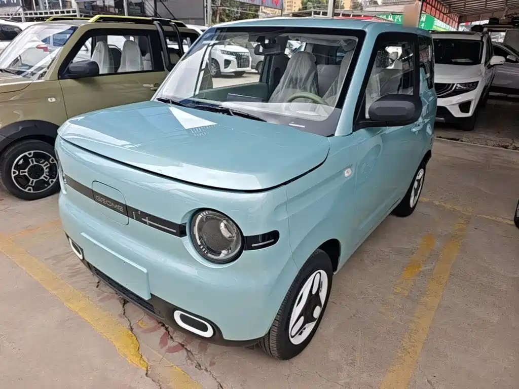 Geely Galaxy Panda 2025 Panda mini 210km Vitality Bear