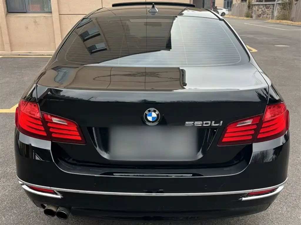 BMW 5 Series 2014 520Li Elegance фото 9