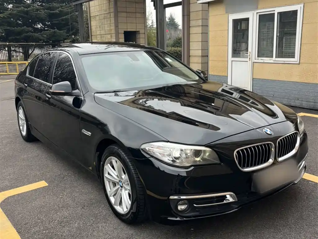 BMW 5 Series 2014 520Li Elegance фото 10