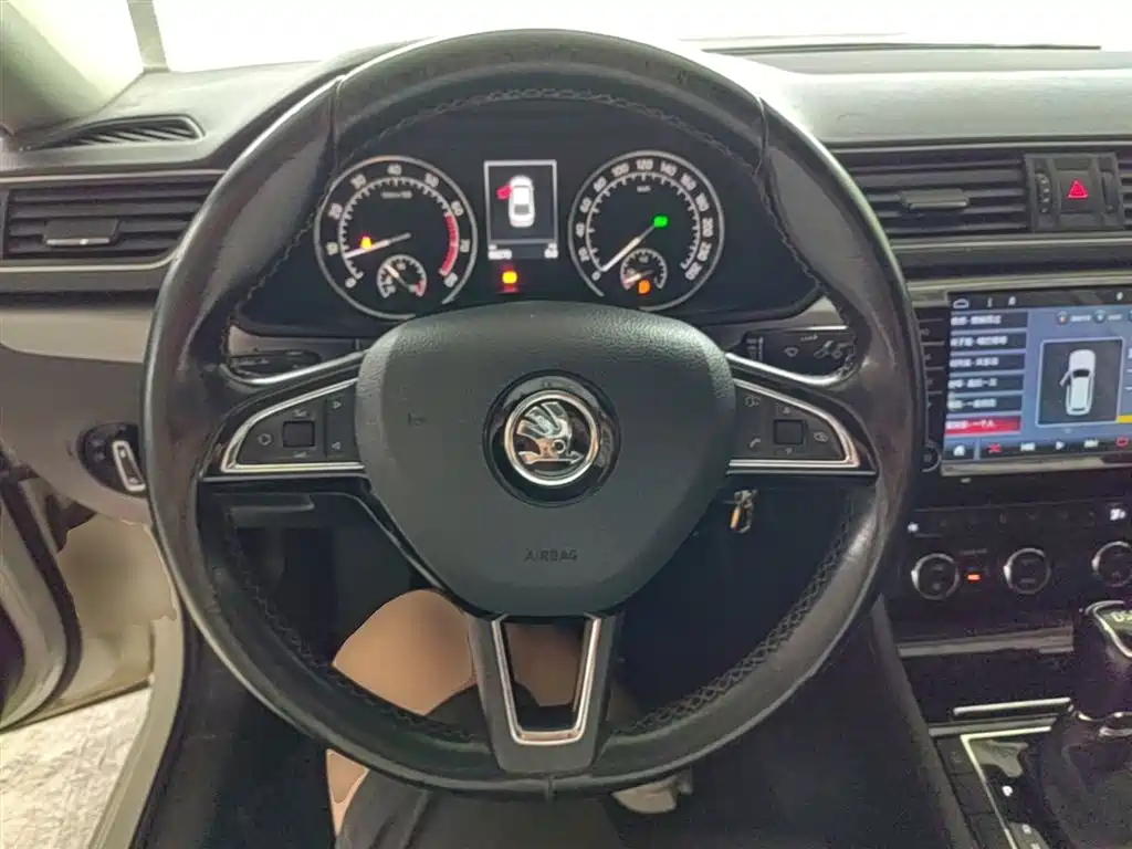 Škoda Superb 2016 TSI280 DSG Pioneer Edition фото 11
