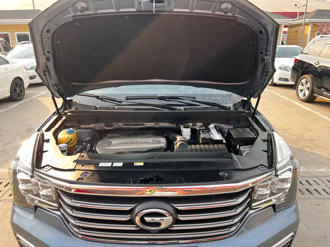 GAC Trumpchi Trumpchi GS8 2017 320T 2WD Luxury Smart Connect (7-seater) фото 23