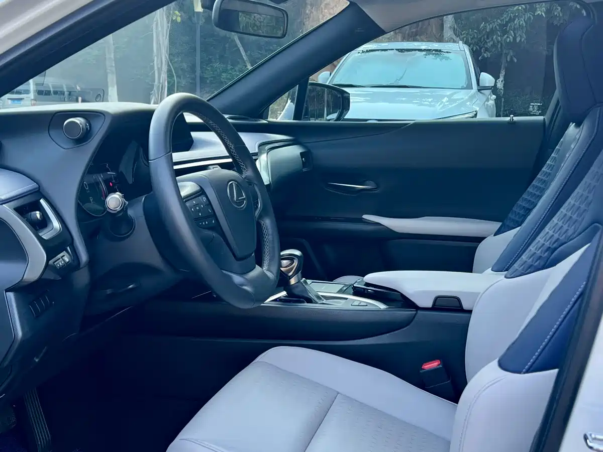 Lexus UX 2020 200 Special Edition фото 8