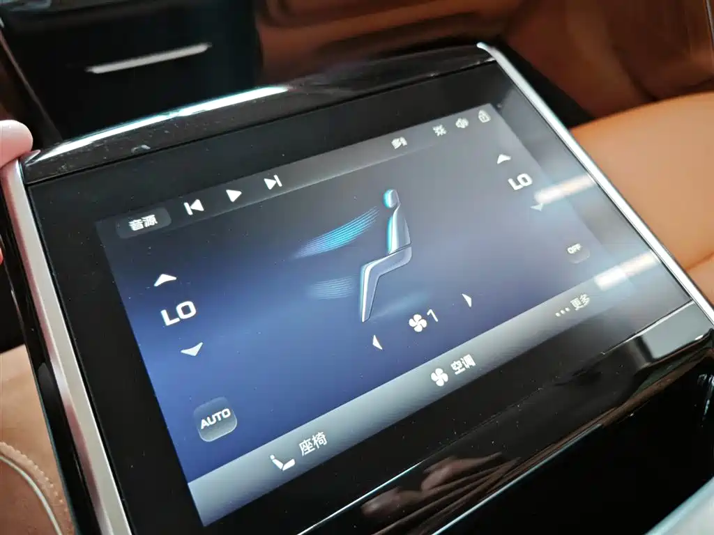 صورة 23 - Hongqi H9