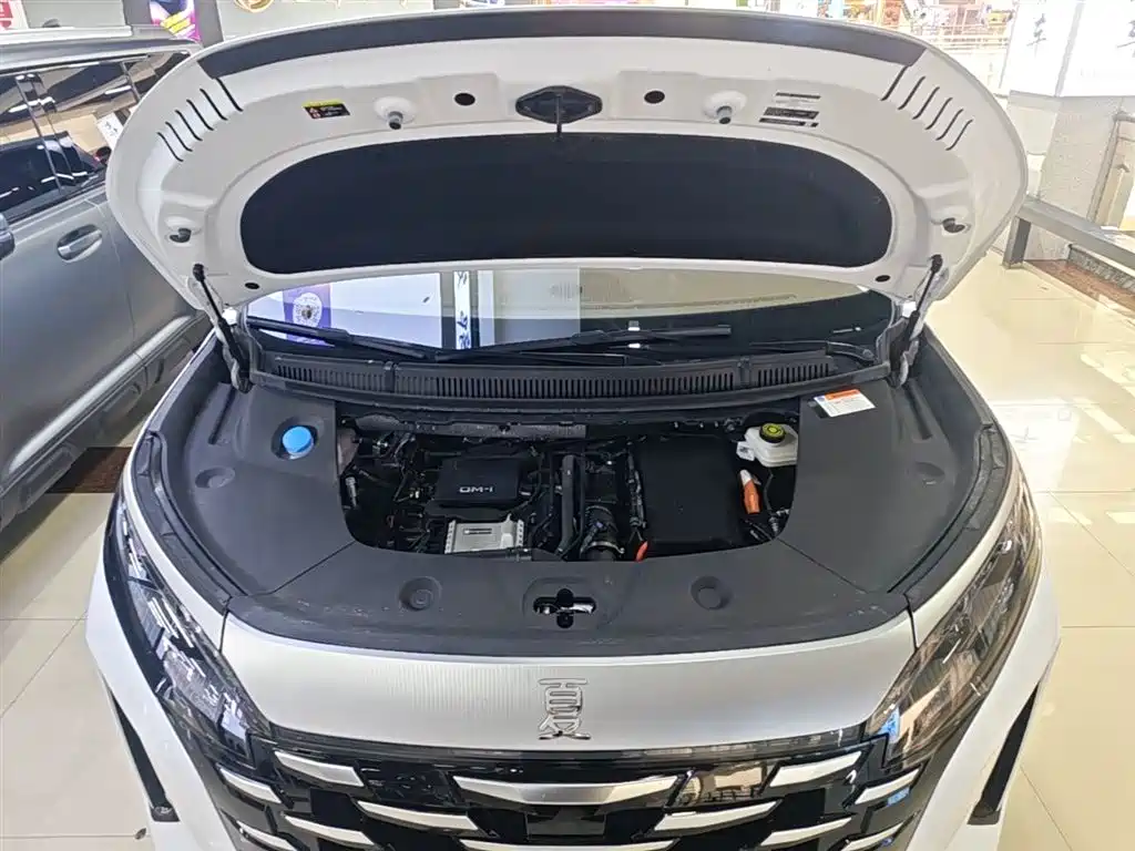 BYD Xia 2025 DM-i 1.5T 180km Surpass Edition фото 20