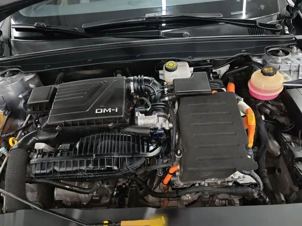 BYD Qin PLUS 2021 DM-i 55KM Flagship фото 16