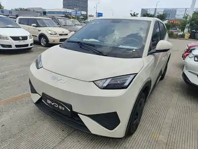 BYD Seagull