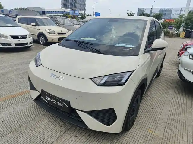 BYD Seagull Система помощи водителю, 305km, Энергия