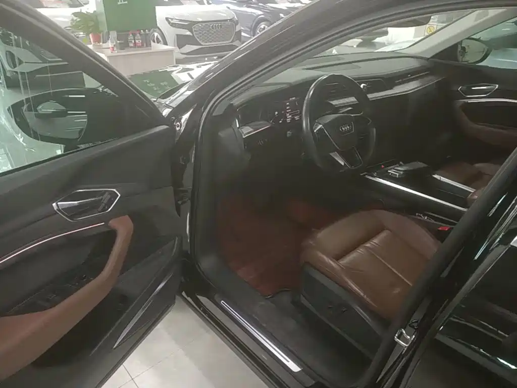 Audi e-tron (Import) 2020 2019 55 quattro Technology