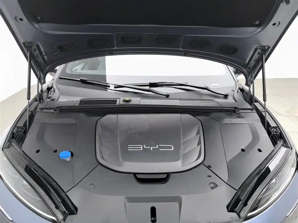 BYD Seal 2022 700km Long Range RWD Edition фото 6