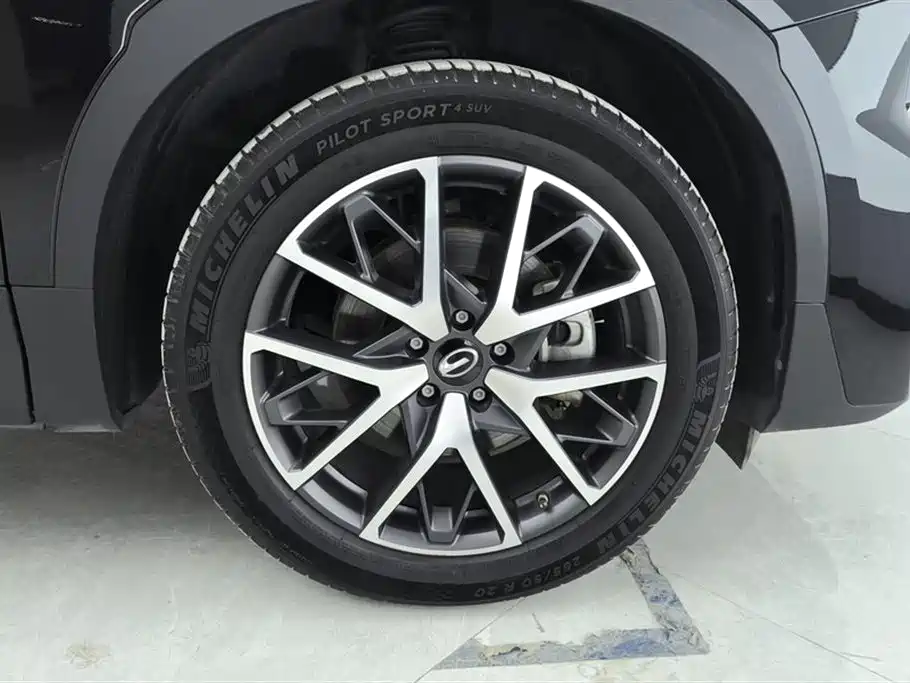 GAC Trumpchi Trumpchi GS8 2024 Navigator Series 2.0TGDI 2WD Luxury Smart Connect Edition фото 6