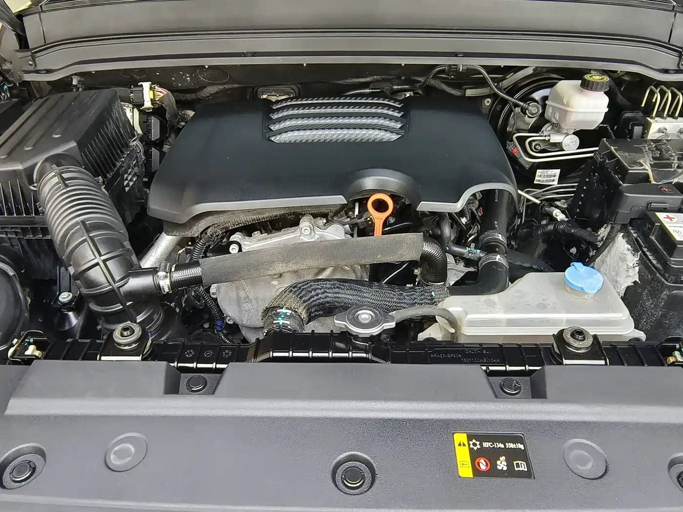 Tank 300 2021 2021 Off-road Edition 2.0T Challenger