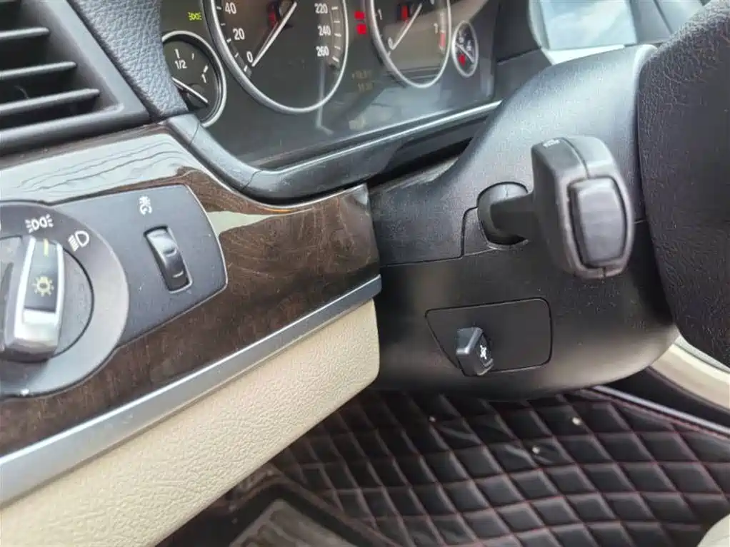 BMW 5 Series 2012 523Li Luxury фото 8
