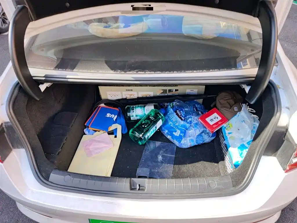 BYD Qin Pro New Energy 2019 DM Super Edition 1.5TI Automatic Smart Connected Jin Xuan Type China VI фото 10