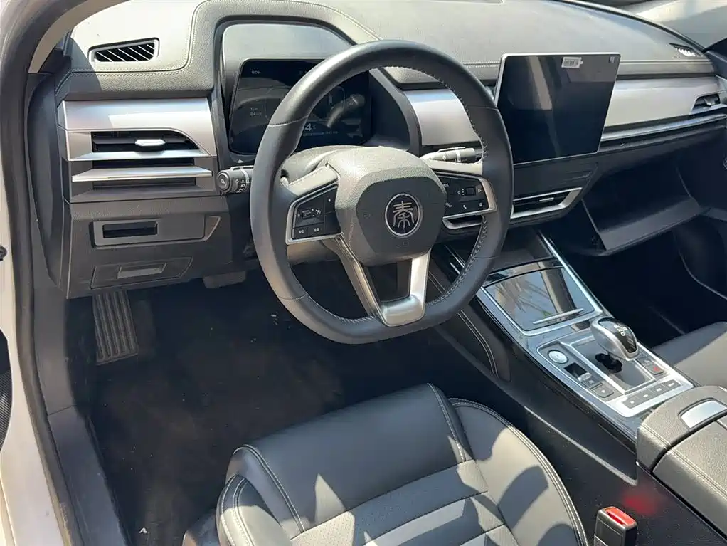 BYD Qin Pro New Energy 2019 DM Super Edition 1.5TI Automatic Smart Connected Jin Xuan Type China VI фото 13