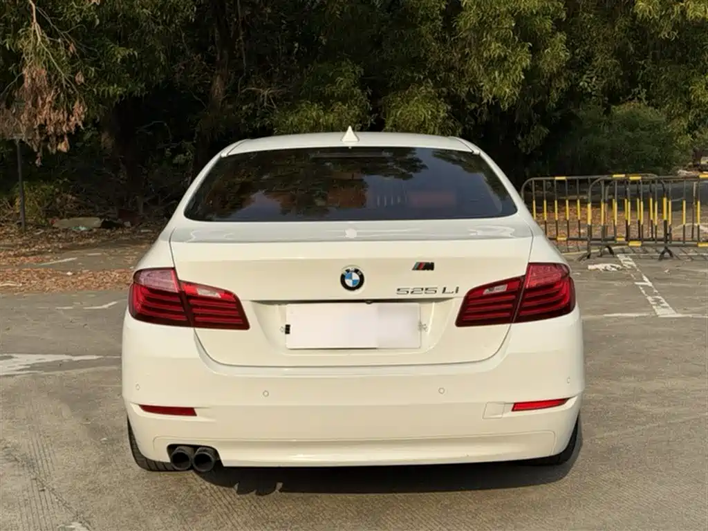 BMW 5 Series 2014 525Li Leading фото 23