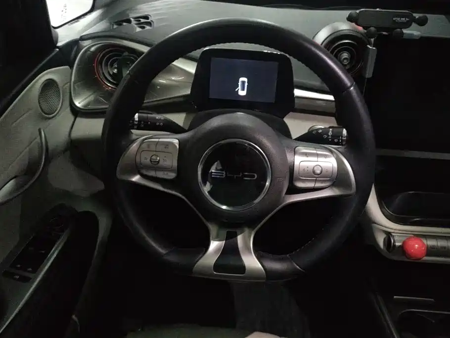 BYD Dolphin 2021 Model 405km Fashion Edition фото 15