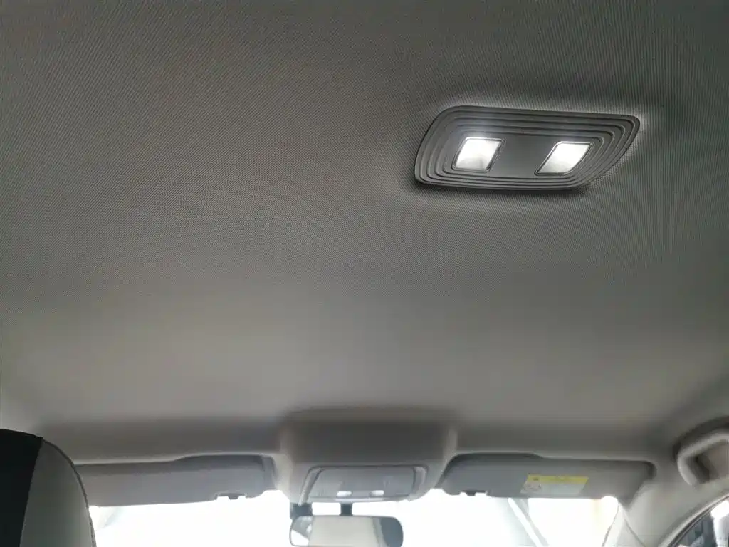 BYD Destroyer 05 2023 Champion Edition DM-i 55KM Luxury фото 18