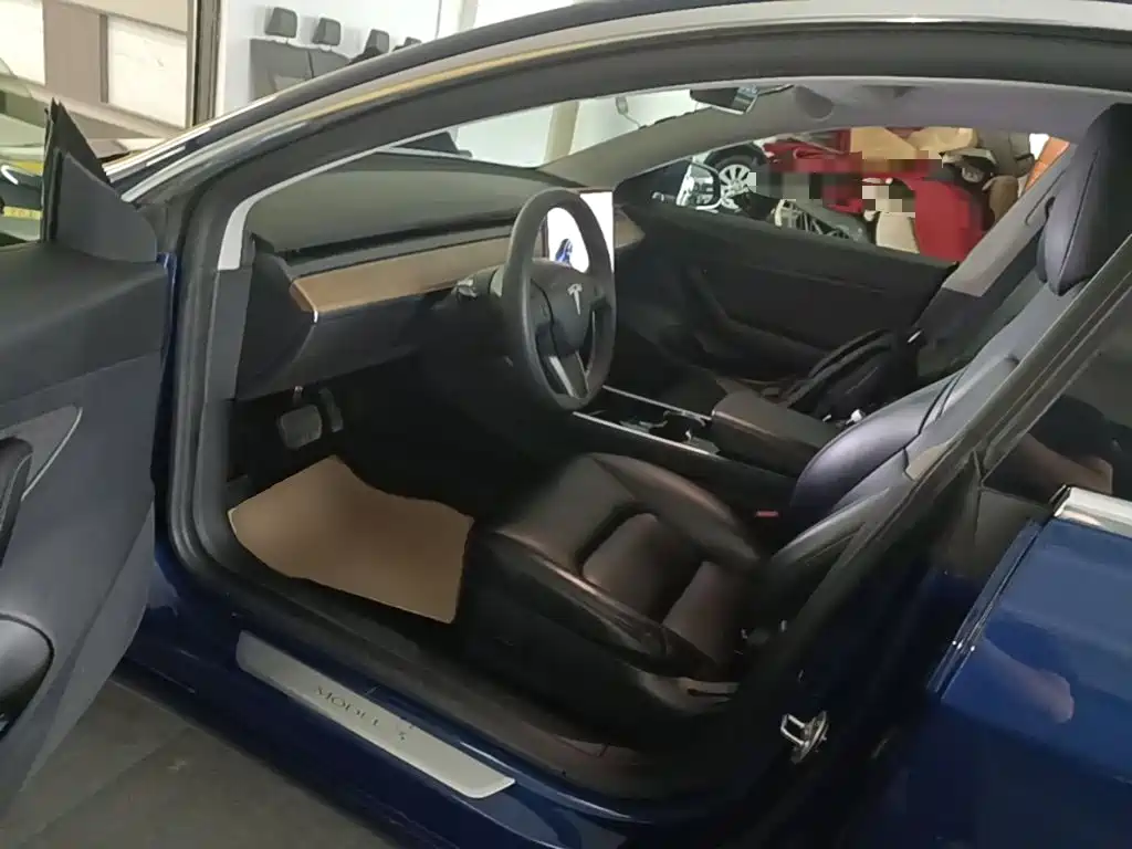 Tesla Model 3 2020 2020 Standard Range Rear-Wheel Drive Upgrade