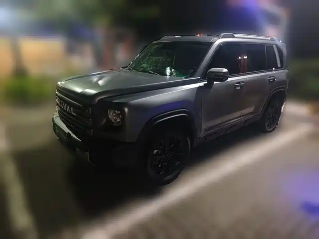 Haval Meng Long NEV 2025