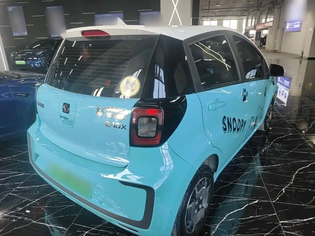 Sehol Flower Fairy 2022 2021 Jimei Edition 302km Luxury