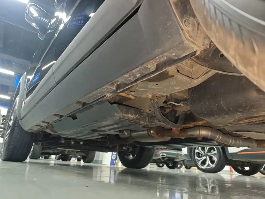 Haval Big Dog 2025 2024 1.5T DCT Border Collie Edition