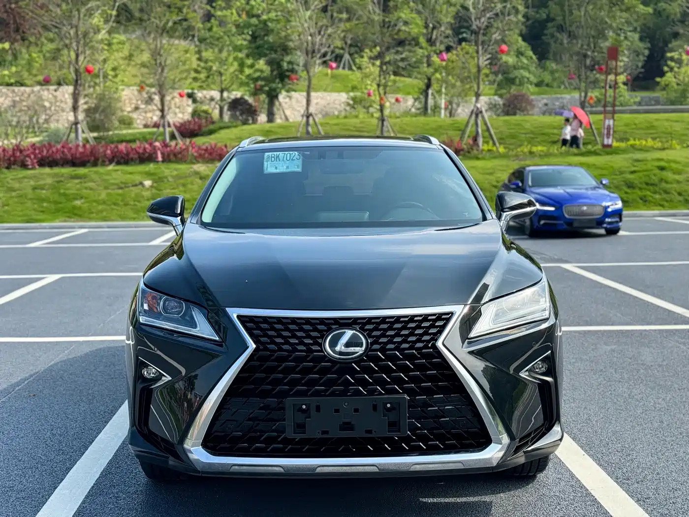 Lexus RX 2016 300 2WD Elite Edition (China V) фото 2