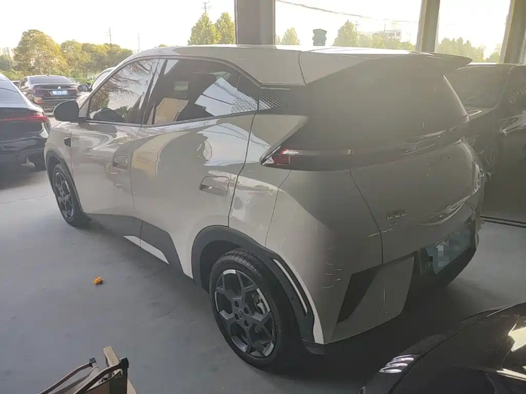 BYD Seagull 2026 2025 Smart Drive Edition 305km Freedom Version