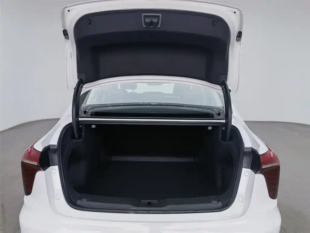 Hongqi H5 2024 2.0T Automatic Smart Connect Flag Smooth Edition фото 16