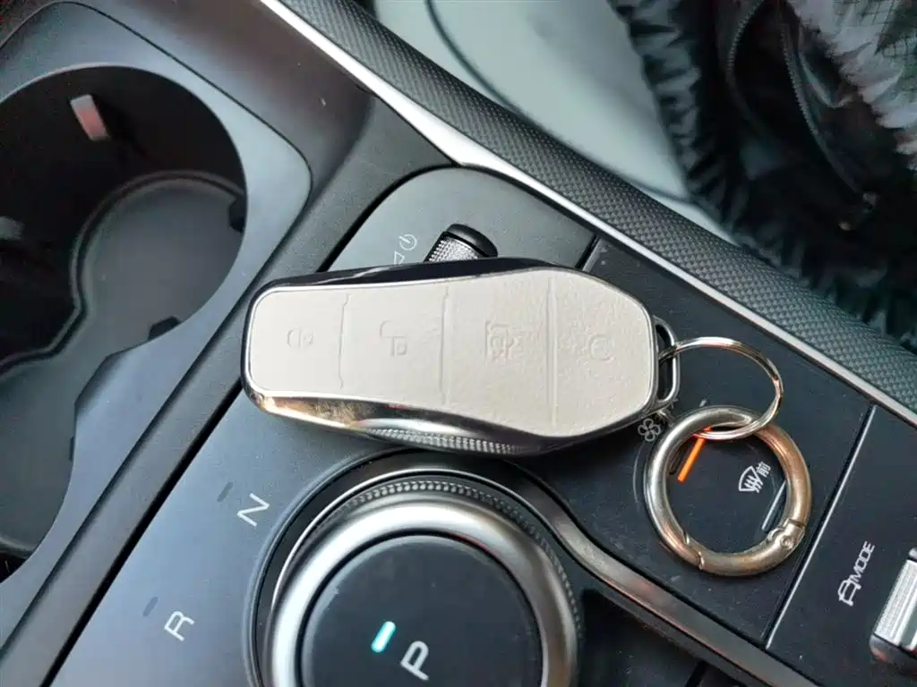 BYD Destroyer 05 2024 Glory Edition DM-i 55KM Luxury фото 9