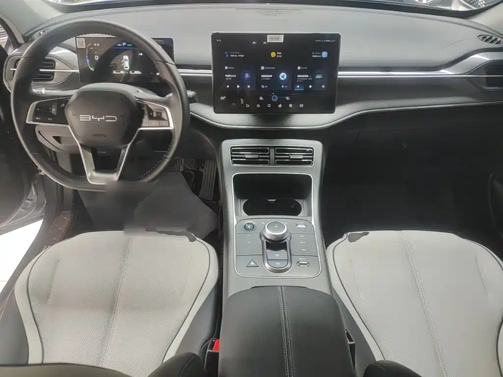 BYD Destroyer 05 2023 Model Champion Edition DM-i 120KM Luxury фото 10