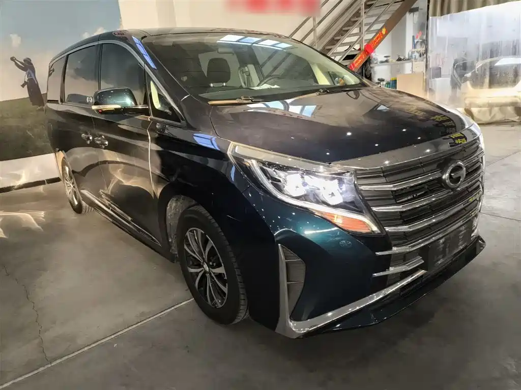 GAC Trumpchi Trumpchi M8 2023 Leading Series 390T Premium Edition фото 20