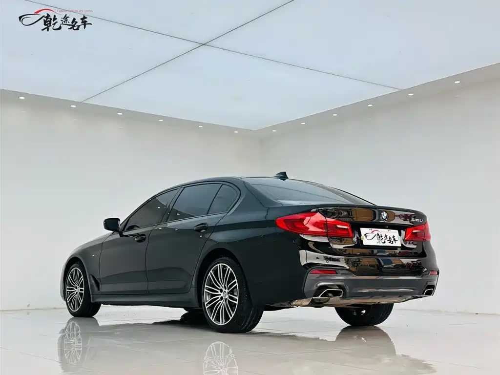 BMW 5 Series 2019 530Li Premium M Sport Package фото 5